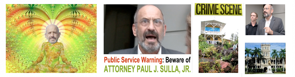 Paul Sulla Fraud